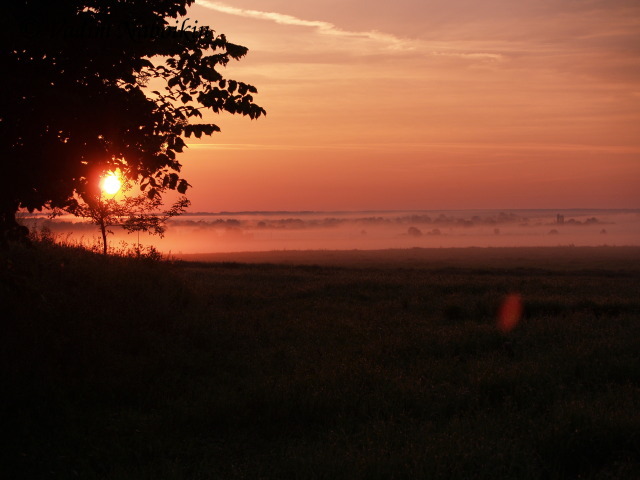 Ukraine nature is beautiful in summer at sunset time 